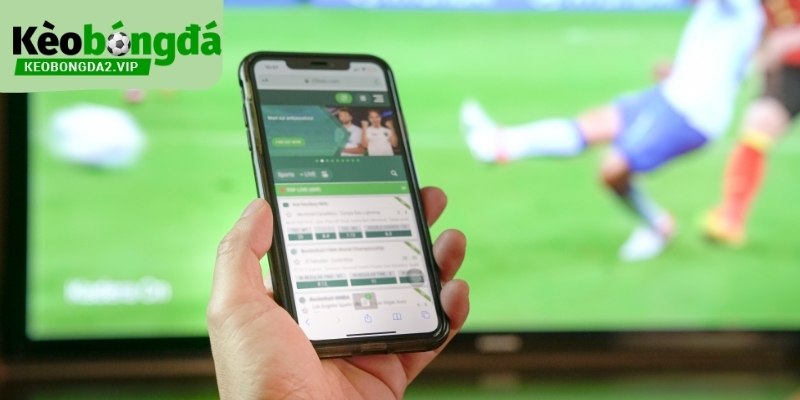 Cược 1x2 là gì